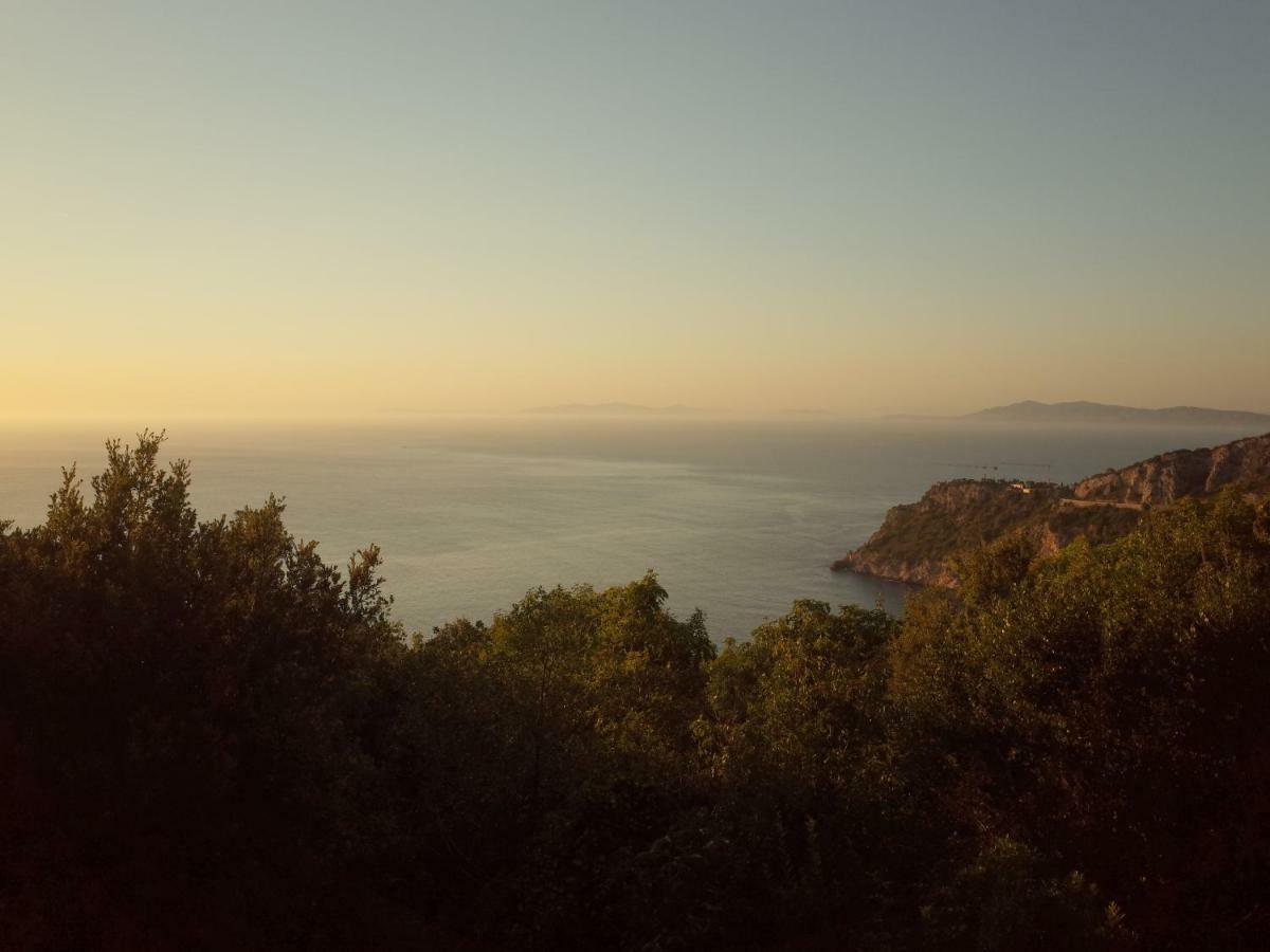 Mediterranean * Porto Santo Stefano (Grosseto)
