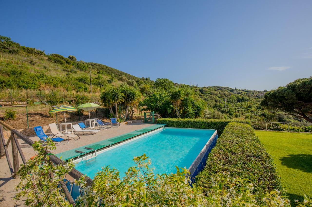 Mediterranean