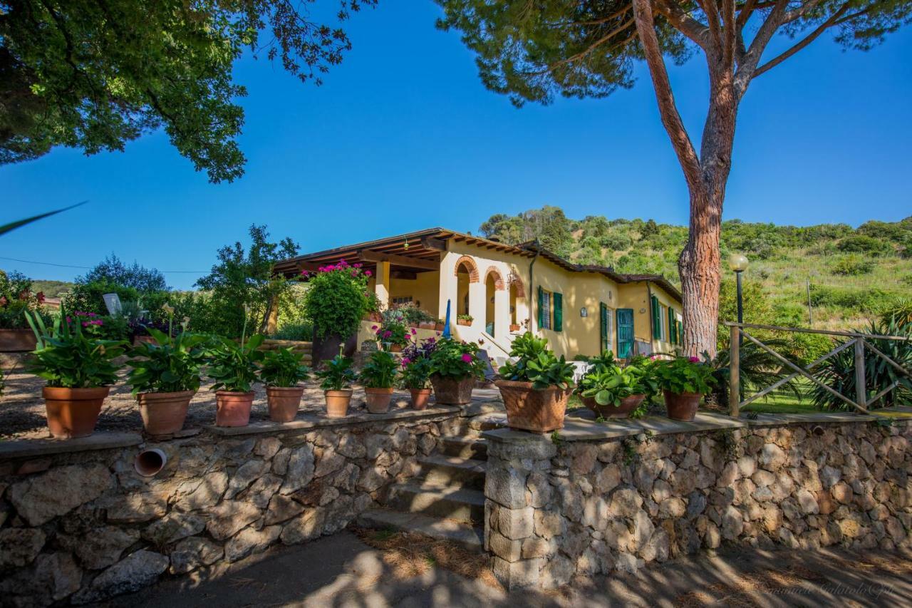 Mediterranean Сasa de vacaciones