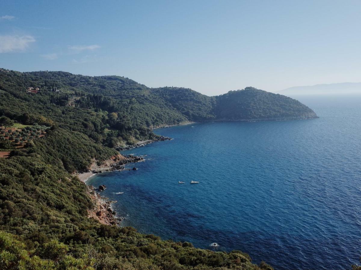 Mediterranean * Porto Santo Stefano (Grosseto)